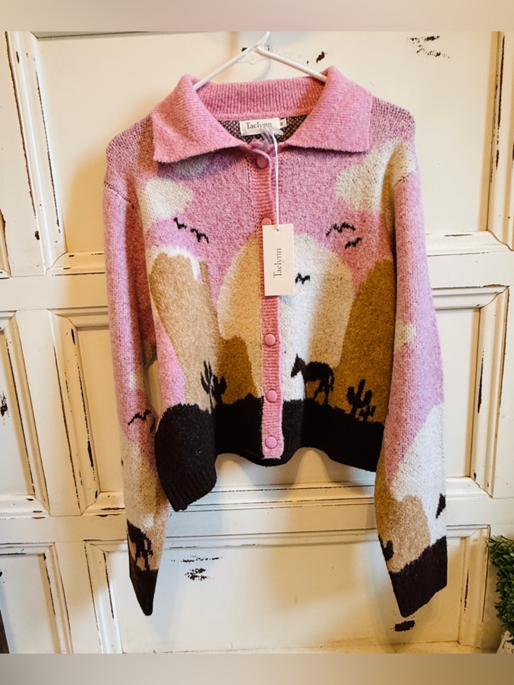 Taylynn Pink Desert Scene Button-Up Cardigan